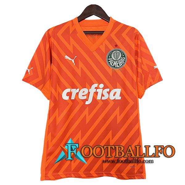 Camisetas De Futbol Palmeiras Portero Naranja 2024/2025