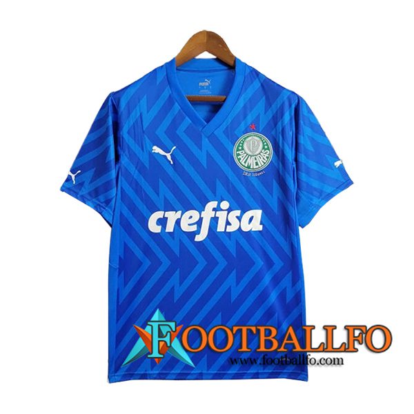 Camisetas De Futbol Palmeiras Portero Azul 2024/2025