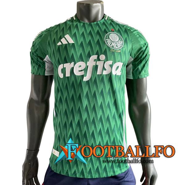 Camisetas De Futbol Palmeiras Special Edition Verde 2024/2025