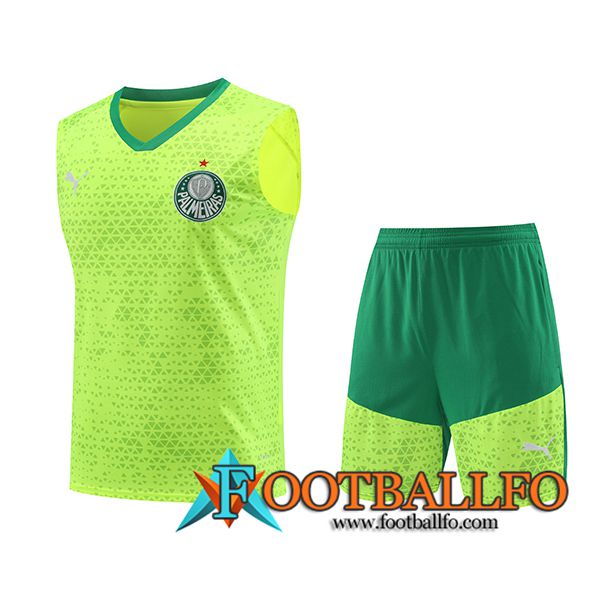 Camiseta Entrenamiento sin mangas Palmeiras Verde/Amarillo 2024/2025