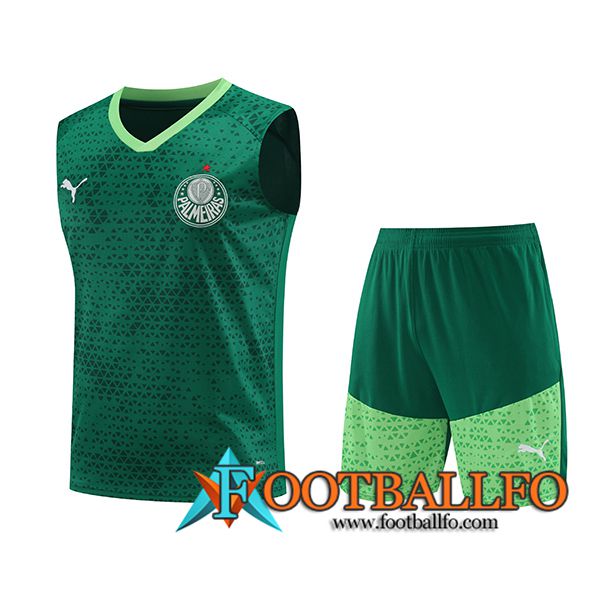 Camiseta Entrenamiento sin mangas Palmeiras Verde 2024/2025