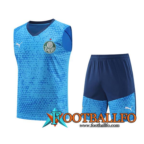 Camiseta Entrenamiento sin mangas Palmeiras Azul 2024/2025