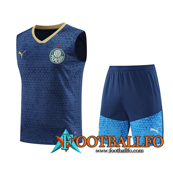 Camiseta Entrenamiento sin mangas Palmeiras Azul marino 2024/2025