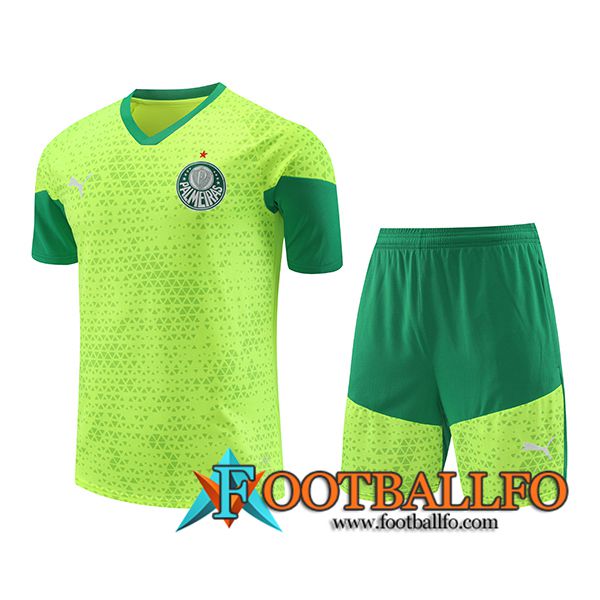 Camiseta Entrenamiento Palmeiras Verde/Amarillo 2024/2025