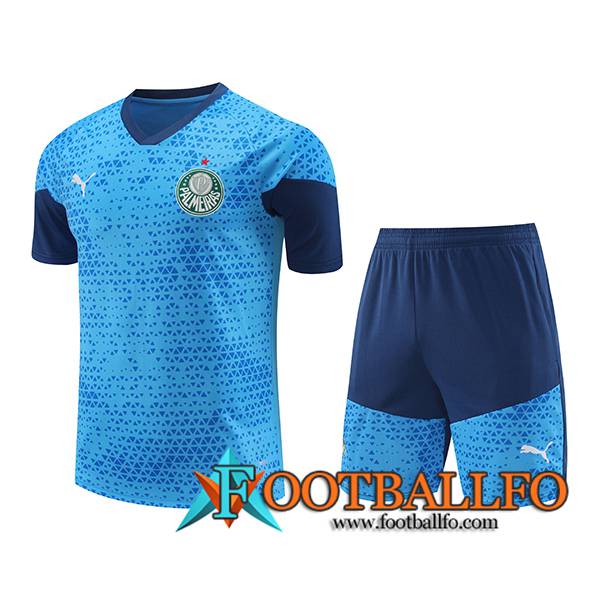 Camiseta Entrenamiento Palmeiras Azul 2024/2025