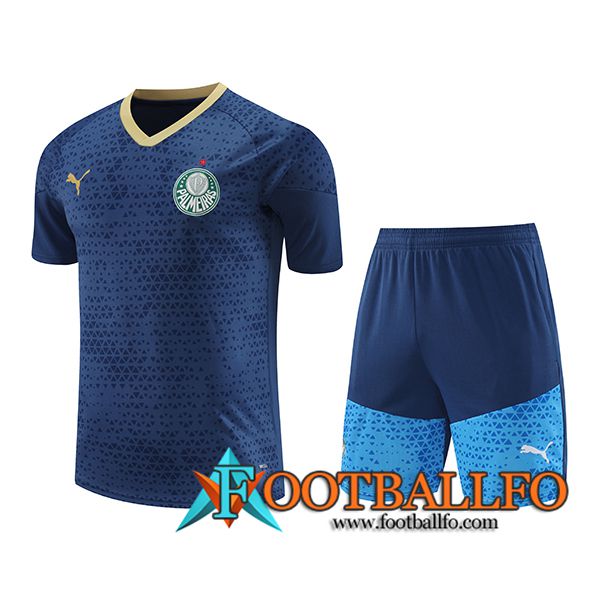 Camiseta Entrenamiento Palmeiras Azul marino 2024/2025