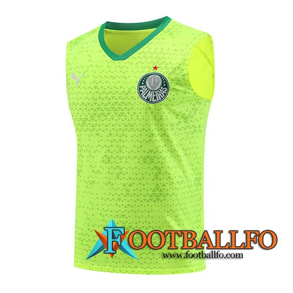 Chalecos De Futbol Palmeiras Verde/Amarillo 2024/2025