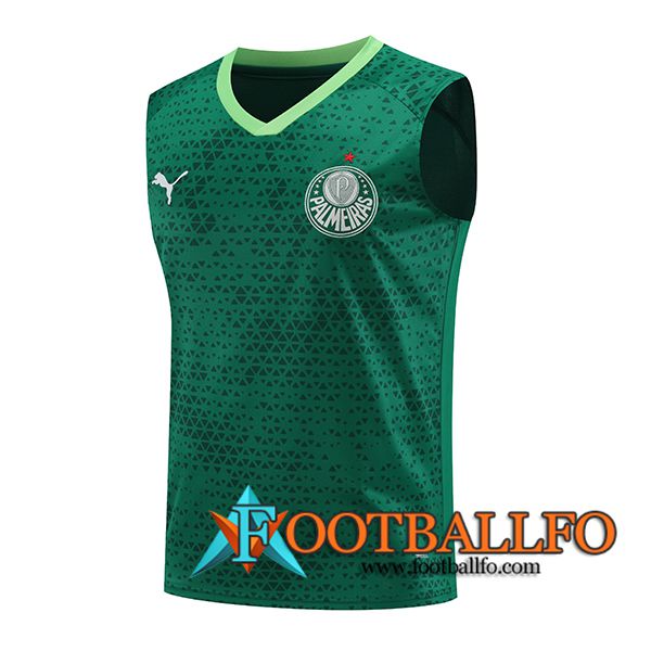 Chalecos De Futbol Palmeiras Verde 2024/2025