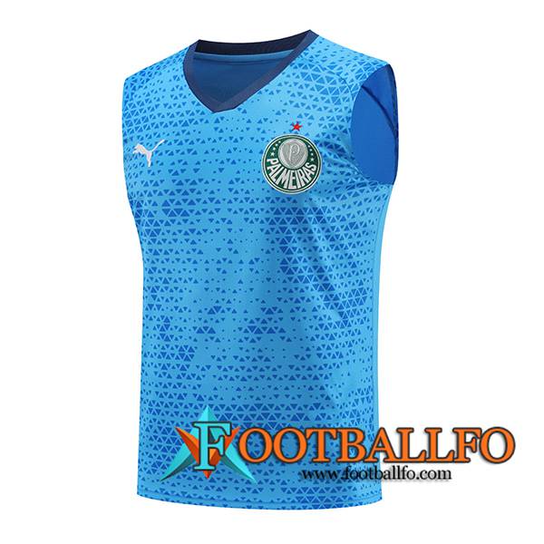 Chalecos De Futbol Palmeiras Azul 2024/2025