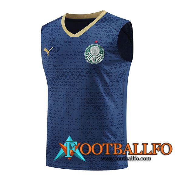 Chalecos De Futbol Palmeiras Azul marino 2024/2025