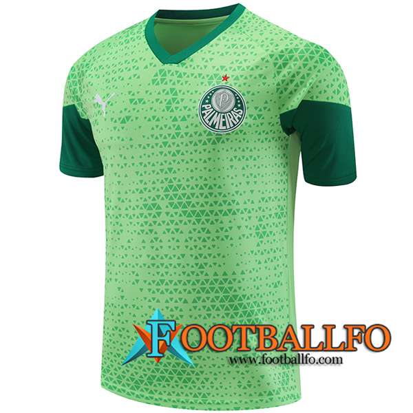 Camiseta Entrenamiento Palmeiras Verde 2024/2025 -04