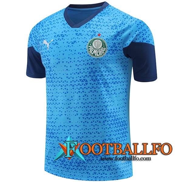 Camiseta Entrenamiento Palmeiras Azul 2024/2025