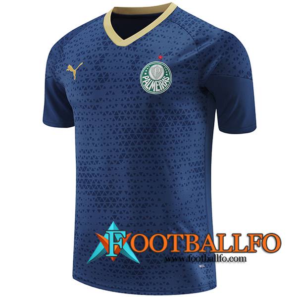 Camiseta Entrenamiento Palmeiras Azul marino 2024/2025