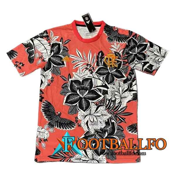 Camisetas De Futbol Flamengo Special Edition Rojo 2024/2025