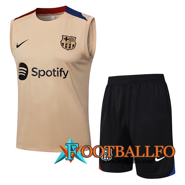 Camiseta Entrenamiento sin mangas FC Barcelona Marrón/Azul/Rojo 2024/2025