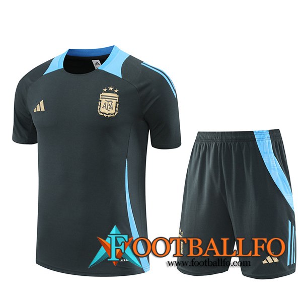 Camiseta Entrenamiento Argentina Gris/Azul 2024/2025 -02