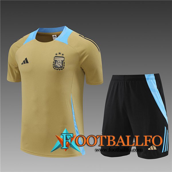 Camiseta Entrenamiento Argentina Ninos Amarillo/Azul 2024/2025