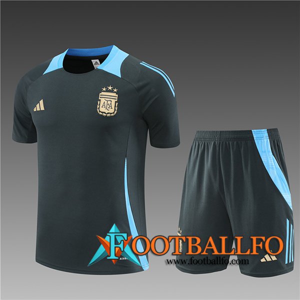 Camiseta Entrenamiento Argentina Ninos Gris/Azul 2024/2025