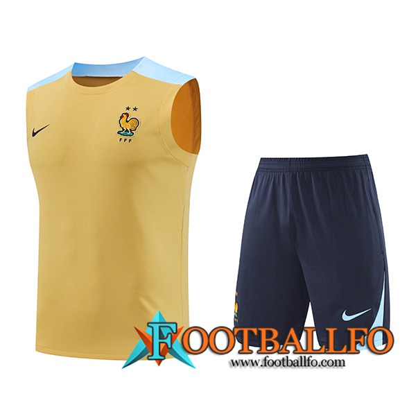 Camiseta Entrenamiento sin mangas Francia Amarillo/Azul 2024/2025