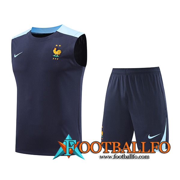 Camiseta Entrenamiento sin mangas Francia Azul Oscuro 2024/2025 -02