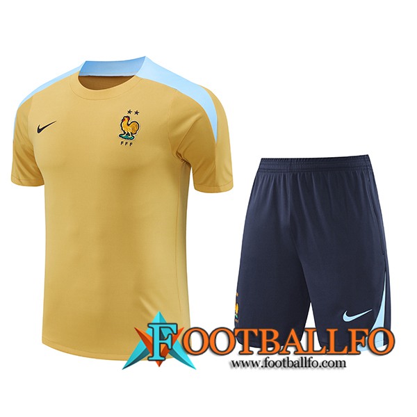 Camiseta Entrenamiento Francia Amarillo/Azul 2024/2025