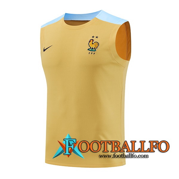 Chalecos De Futbol Francia Amarillo/Azul 2024/2025