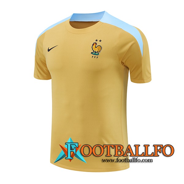 Camiseta Entrenamiento Francia Amarillo/Azul 2024/2025