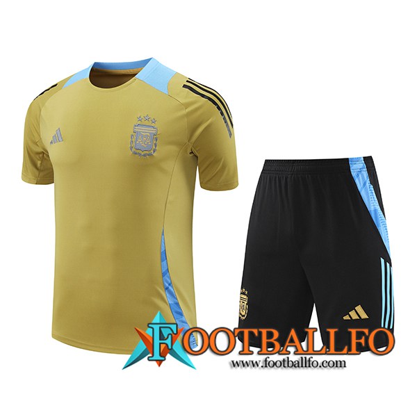 Camiseta Entrenamiento Argentina Amarillo/Azul 2024/2025