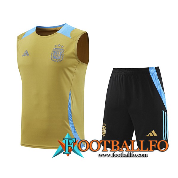 Camiseta Entrenamiento sin mangas Argentina Amarillo/Azul 2024/2025