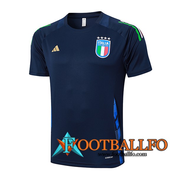 Camiseta Entrenamiento Italia azul real 2024/2025