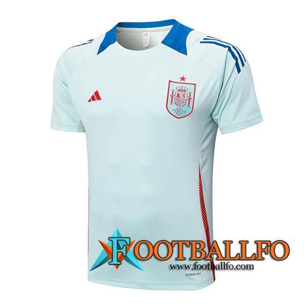 Camiseta Entrenamiento España Azul Claro 2024/2025