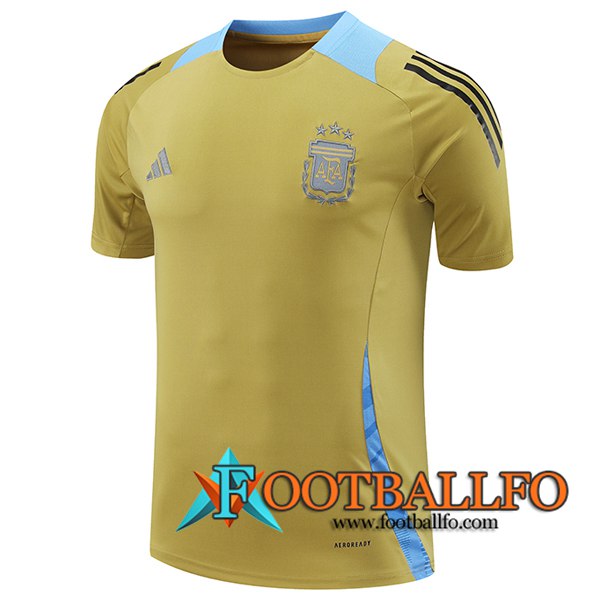 Camiseta Entrenamiento Argentina Amarillo/Azul 2024/2025