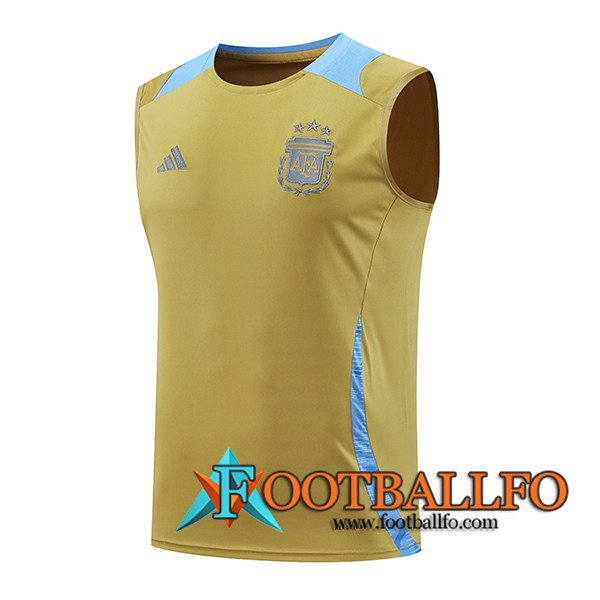 Chalecos De Futbol Argentina Amarillo/Azul 2024/2025