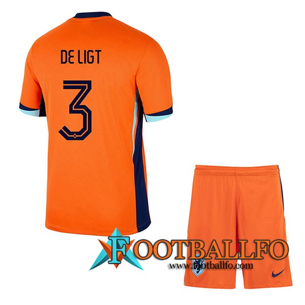 Camisetas De Futbol Países Bajos (DE LIGT #3) Ninos Primera UEFA Euro 2024