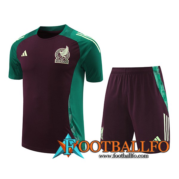 Camiseta Entrenamiento México Verde/Marrón 2024/2025