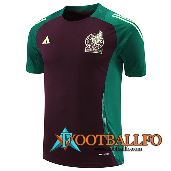 Camiseta Entrenamiento México Verde/Marrón 2024/2025