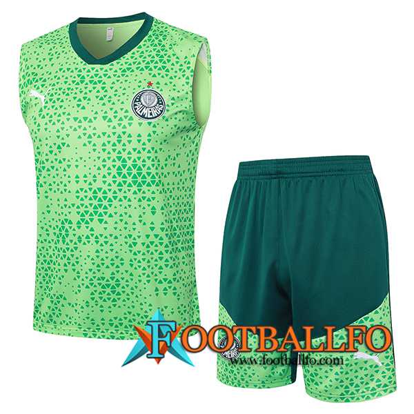 Camiseta Entrenamiento sin mangas Palmeiras Verde 2024/2025 -03