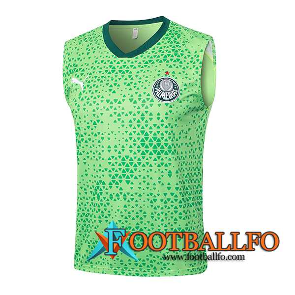 Chalecos De Futbol Palmeiras Verde 2024/2025 -03