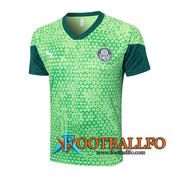 Camiseta Entrenamiento Palmeiras Verde 2024/2025 -05