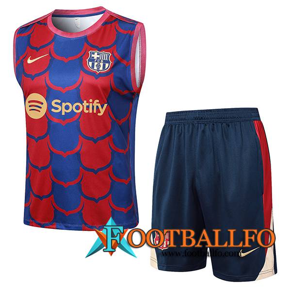 Camiseta Entrenamiento sin mangas FC Barcelona Rojo/Azul 2024/2025