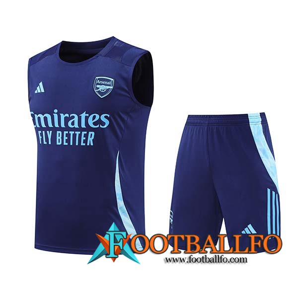 Camiseta Entrenamiento sin mangas Arsenal Azul 2024/2025