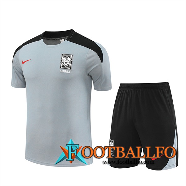 Camiseta Entrenamiento Corée Du Sud Gris/Negro 2024/2025