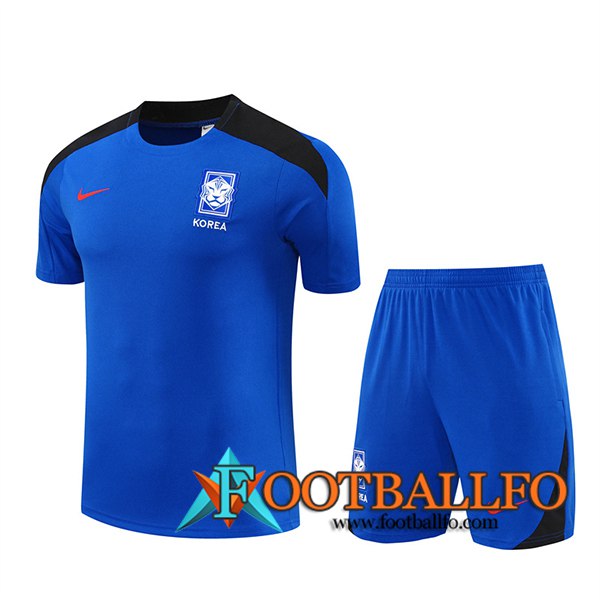 Camiseta Entrenamiento Corée Du Sud Azul/Negro 2024/2025