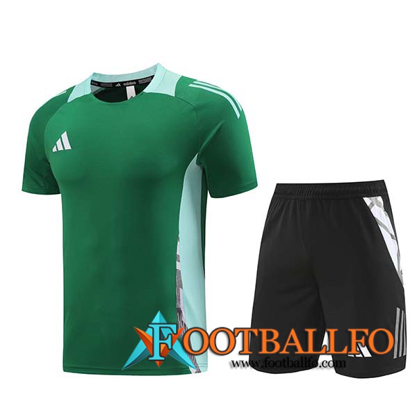 Camiseta Entrenamiento Adidas Verde 2024/2025