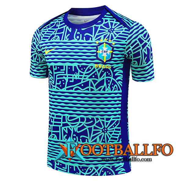 Camiseta Entrenamiento Brasil Azul/Verde 2024/2025