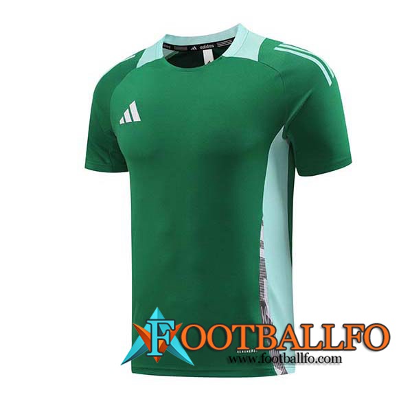 Camiseta Entrenamiento Adidas Verde 2024/2025