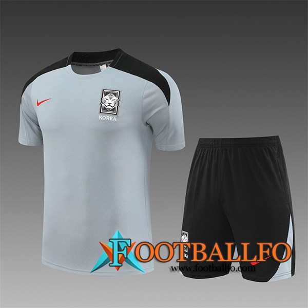 Camiseta Entrenamiento Corée Du Sud Ninos Gris/Negro 2024/2025