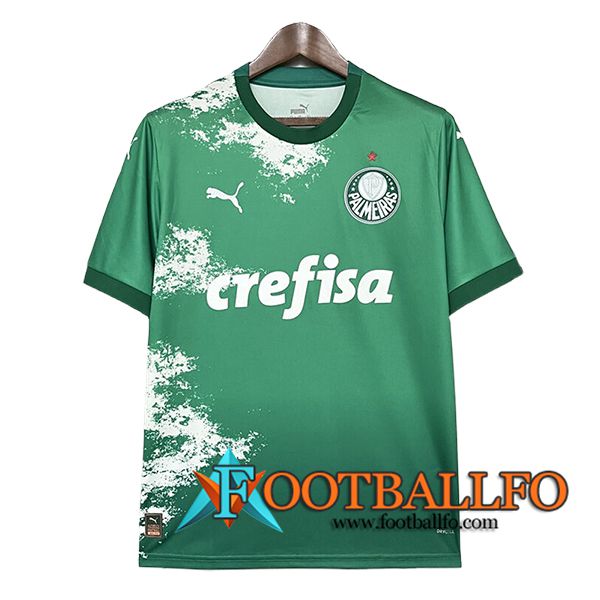 Camisetas De Futbol Palmeiras Special Edition Verde 2024/2025 -02