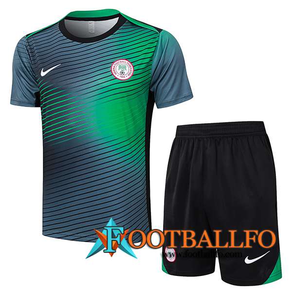 Camiseta Entrenamiento Nigeria Gris/Verde 2024/2025