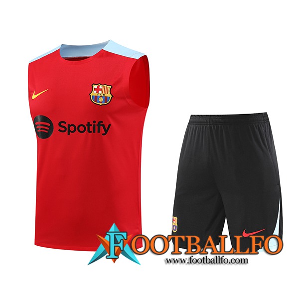 Camiseta Entrenamiento sin mangas FC Barcelona Rojo/Azul 2024/2025